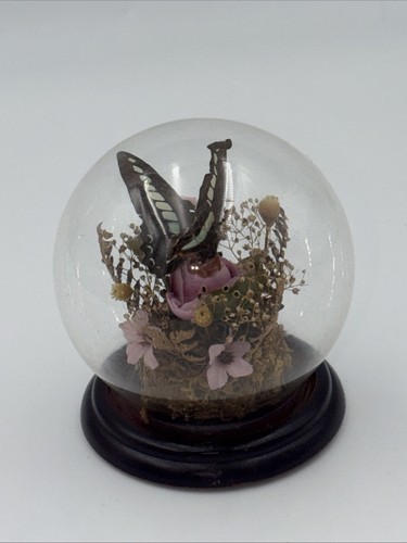 Dried flowers and real - and,