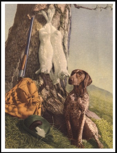 German shorthaired pointer dog - shorthaired,
