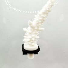 Pack aquarium coral - aquarium, frag