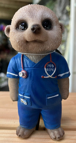 Baby meerkat nurse - nurse, pot