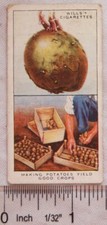 1938 Wills Garden Hints No. 31 Making Potatoes Yield Good Crops