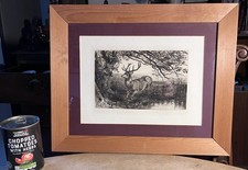 STAG Antique 1885 Etching By