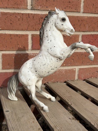 Rare leopard horse - leopard,