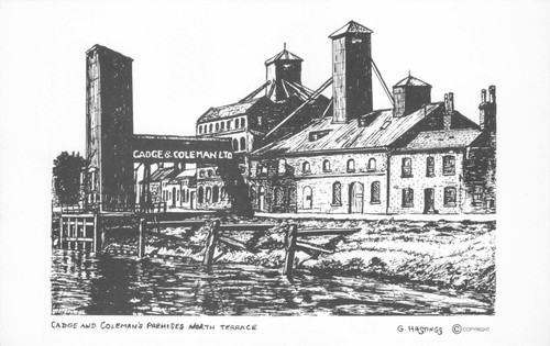 Postcard cadge colemans - postcard,