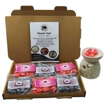 Wax Melts Gift Set, 20 Mini