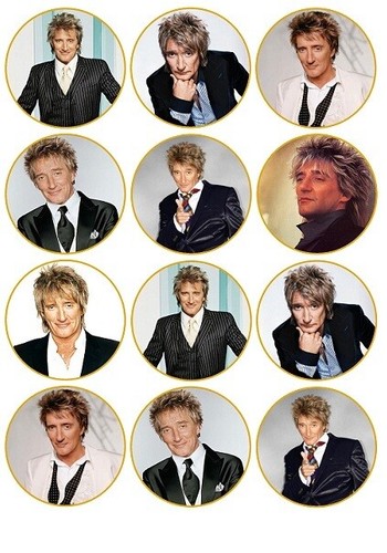 Rod stewart fairy cake - 24,