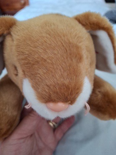 2000 ears beanie - ty.,