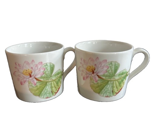 Set royal doulton - set, water