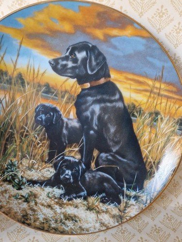 Labrador retrievers plate - labrador,