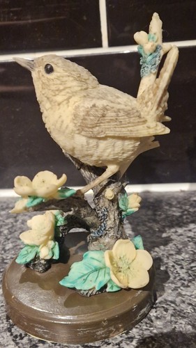 British birds collection wren - collection,