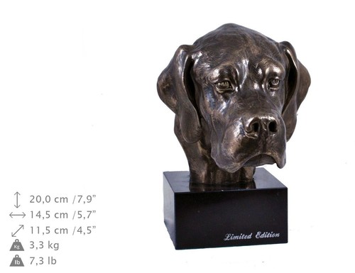 English pointer dog marble - english, pointer,