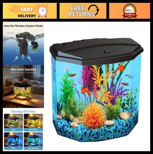 Gallon aquarium starter kit - 3-gallon,