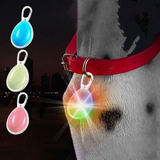 Dog Lights For Night Walking