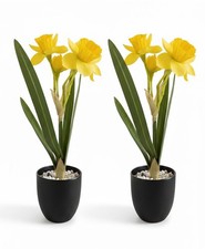 2 x Artificial Daffodil