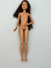 Barbie Sister SKIPPER Teen Doll Brunette Hair with Hot Pink Streak 2010 Mattel