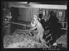 Sheffield alabama 1940s - sheffield,