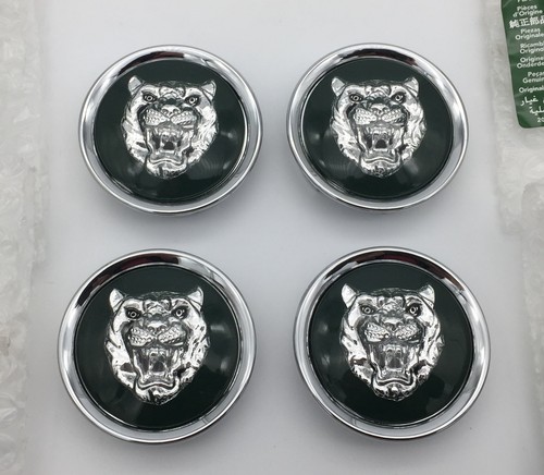 Genuine jaguar green silver - jaguar,