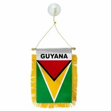 Guyana Flag Hanging Car Pennant for Car Window or Rearview Mirror