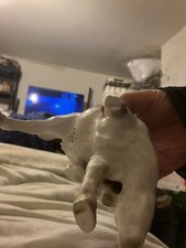 Copenhagen Scratching Cow