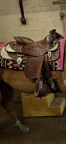 Blue ribbon saddle - ribbon, and