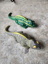 Chameleon Lizard Gecko. Garden