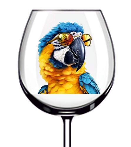 12x blue gold - 12x, macaw