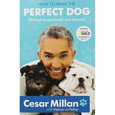 How raise the perfect dog - the, dog,