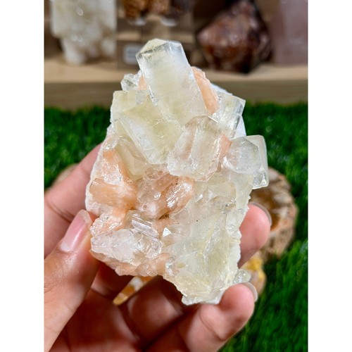 Apophyllite stilbite on - apophyllite,