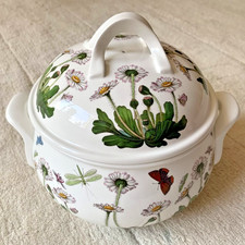 Vintage Portmeirion Botanic