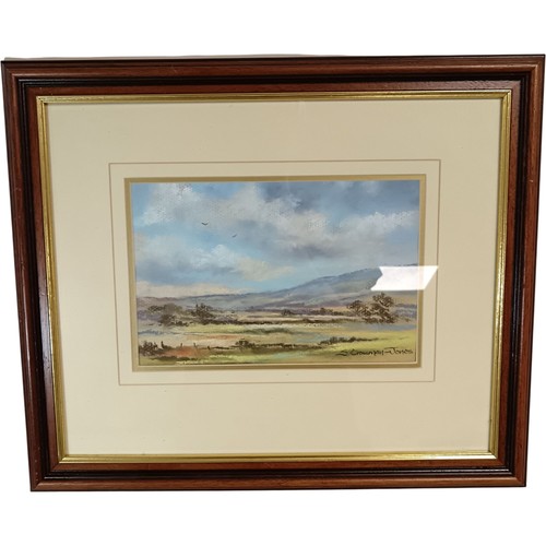 Framed landscape painting - landscape,