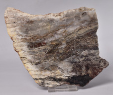 MICROBIAL MAT, Dresser Fmt