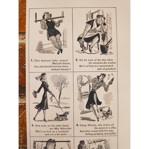 1940 sexist windex - windex, cleaning