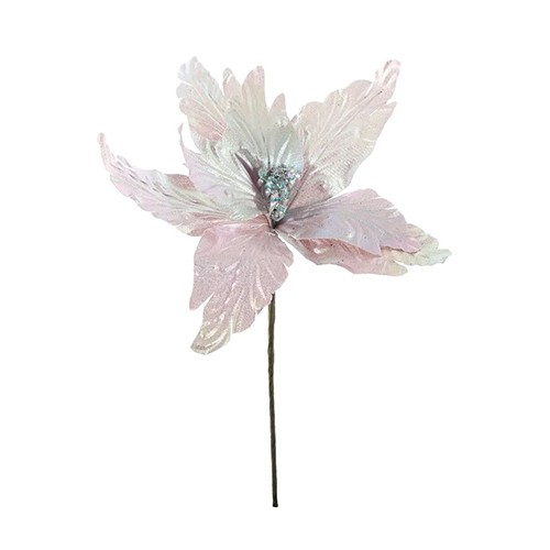 Iridescent pink poinsettia - iridescent,