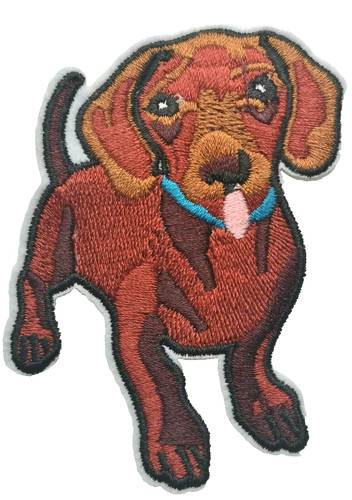 Doxie dachshund dog - dachshund,