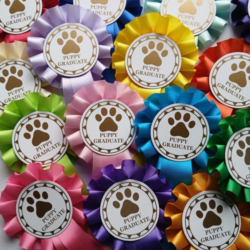 Tier dog rosettes puppy - 10, x