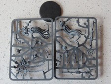 Necron Necrons Chronomancer