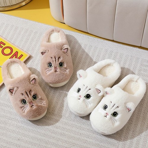 Boy girl cat cute fluffy - girl, mule