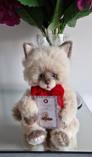 Charlie bears fur baby cat - bears,