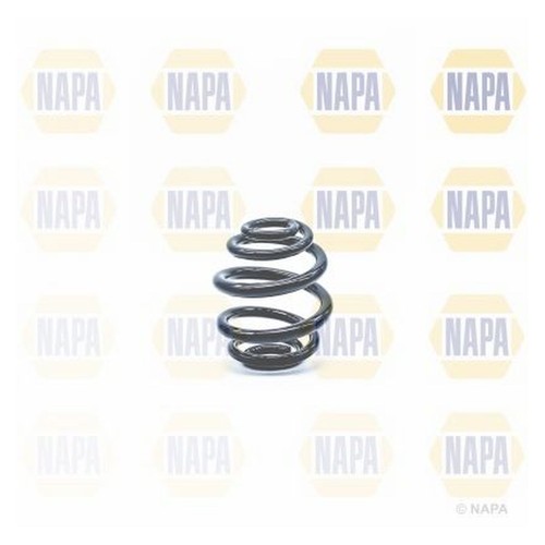 Rear coil springs for - rear,