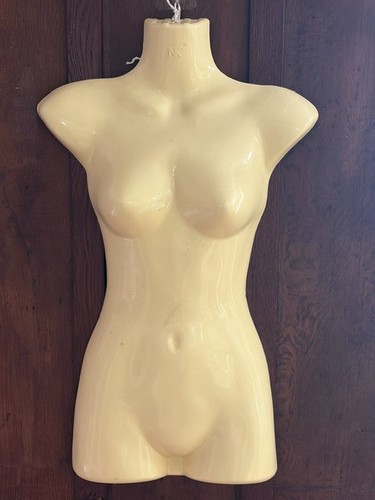 Display dummy - display,