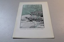 1906 Walter King Stone Print ~