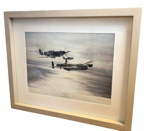 Robert taylor memorial flight - robert,