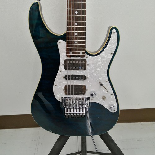 Schecter 24 electric - schecter,