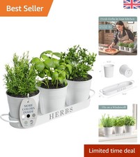 Charming Vintage Herb Pot