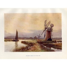 NORFOLK Drainage Mills on the Ant River by Ernest Haslehust - Antique Print 1920