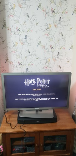 Harry potter nintendo gamecube - potter,