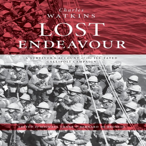 Lost endeavour survivor s - lost,