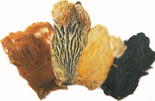 Veniard indian hen capes fly - indian,