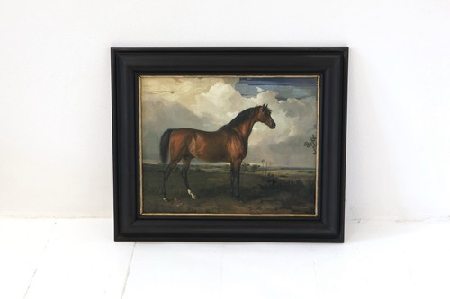 Framed horse canvas vintage - canvas,