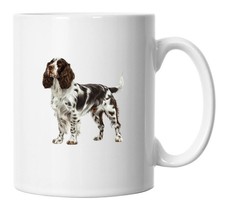 English Springer Spaniel
